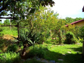 Yellow villa